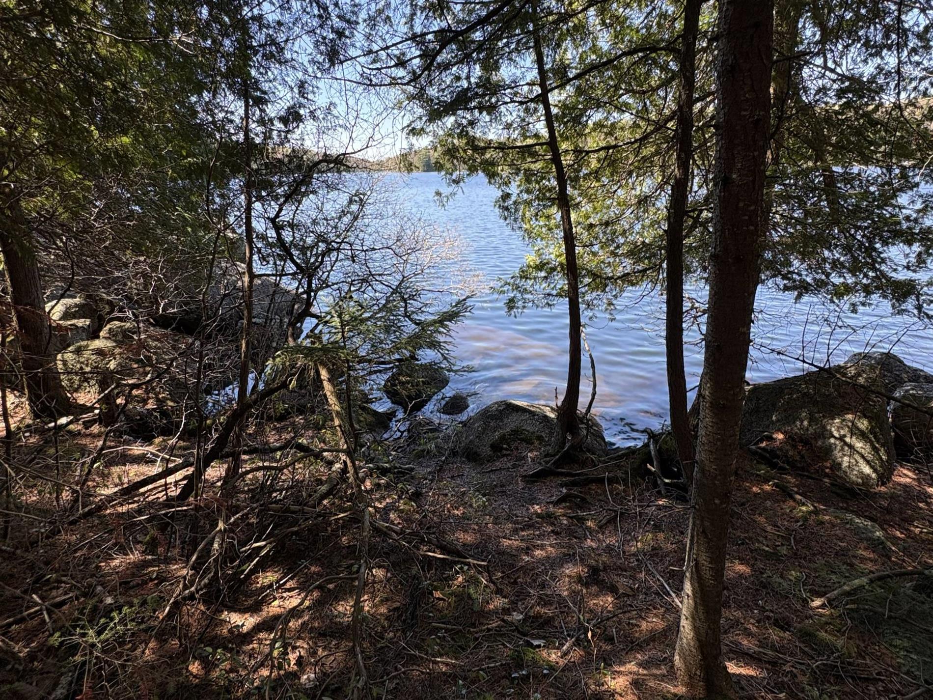 Ch. du Lac-Earl E. — photo 3