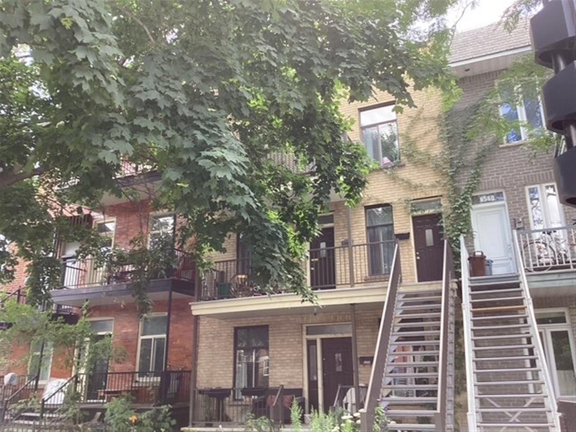 6554-6558 Av. Christophe-Colomb — photo 2
