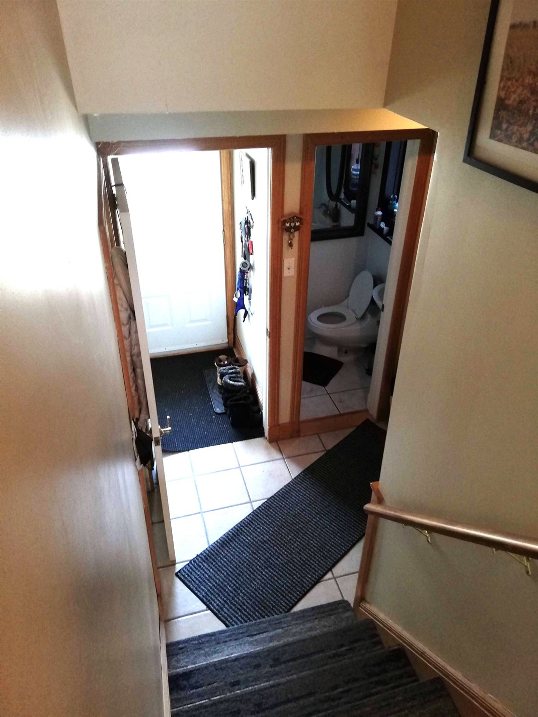49 Rue Apple Hill — photo 3