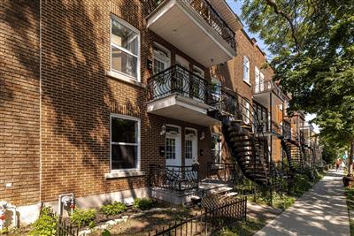 Petite patrie montreal hot sale