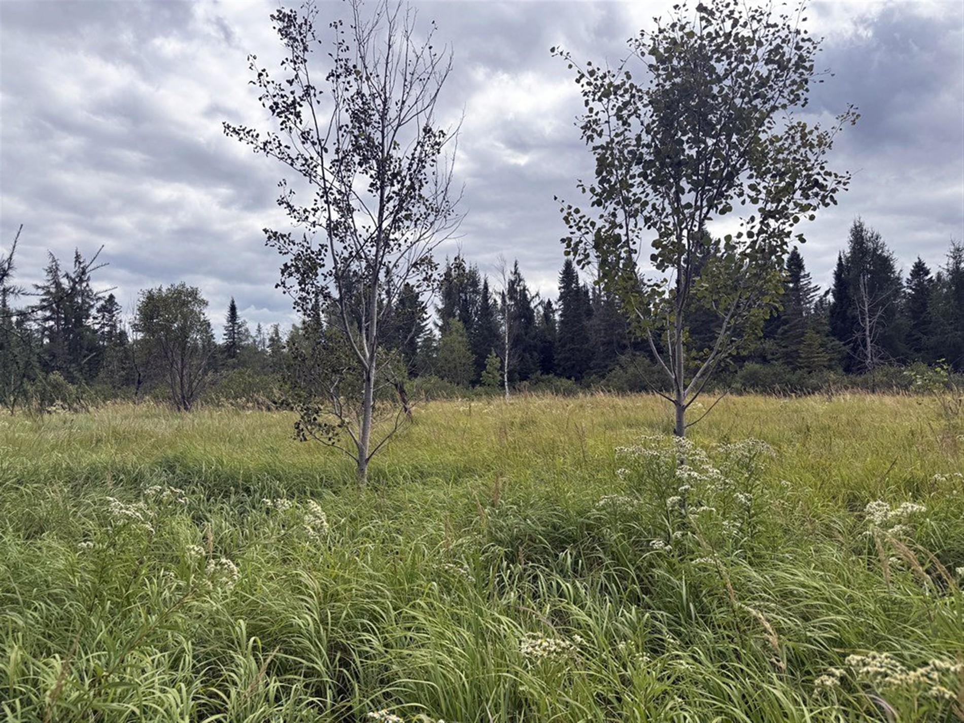 Route 263 — photo 3