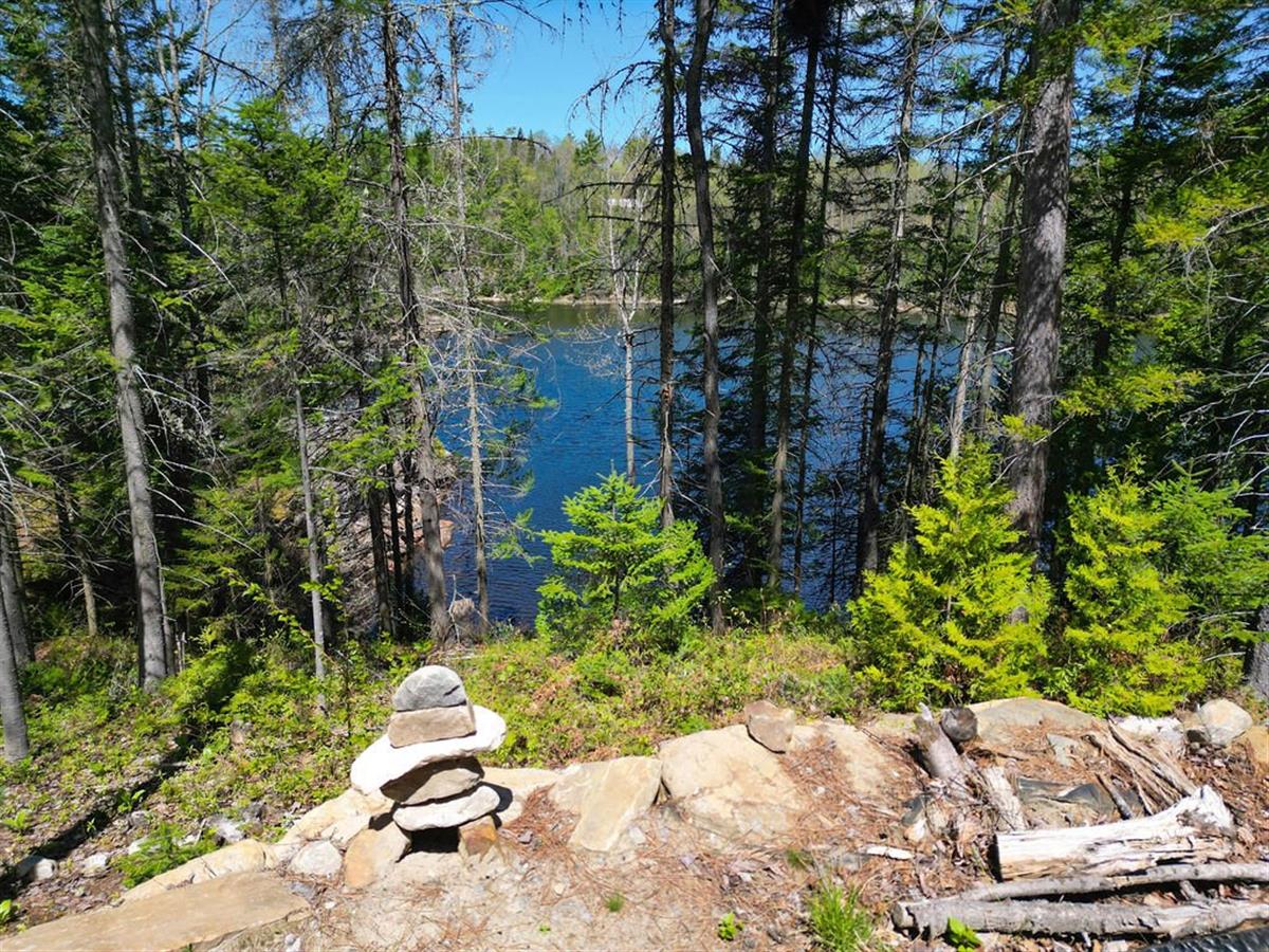 Photo 45