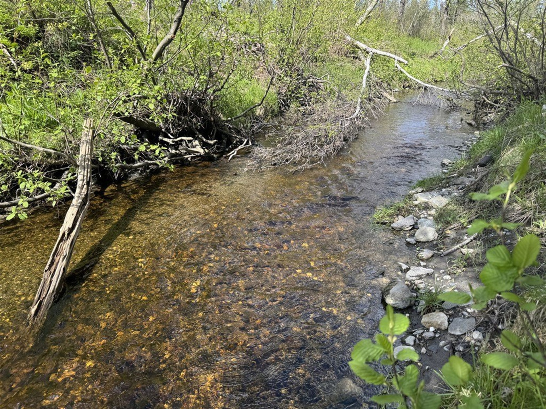 Route 263 — photo 2