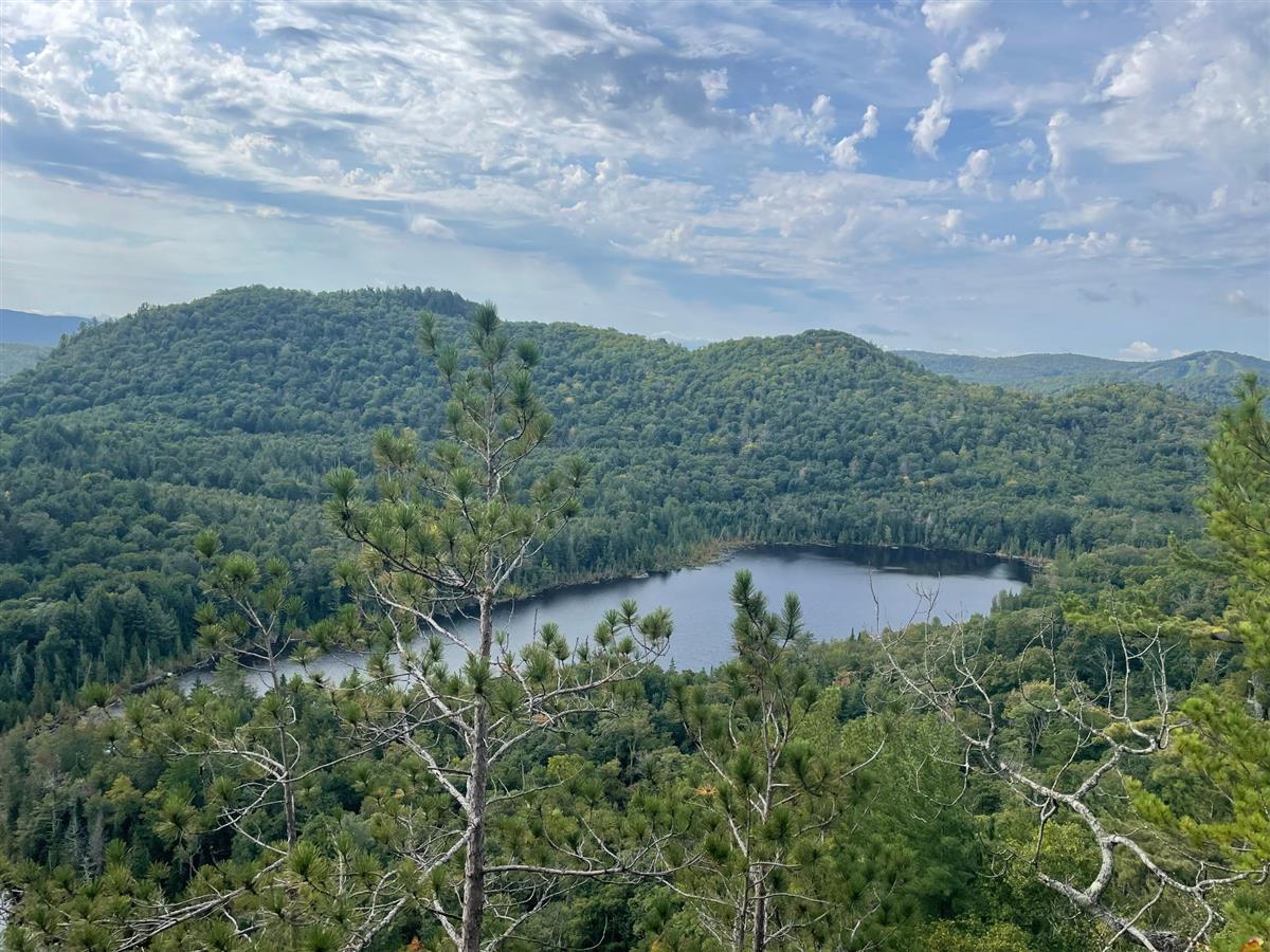 Photo 47