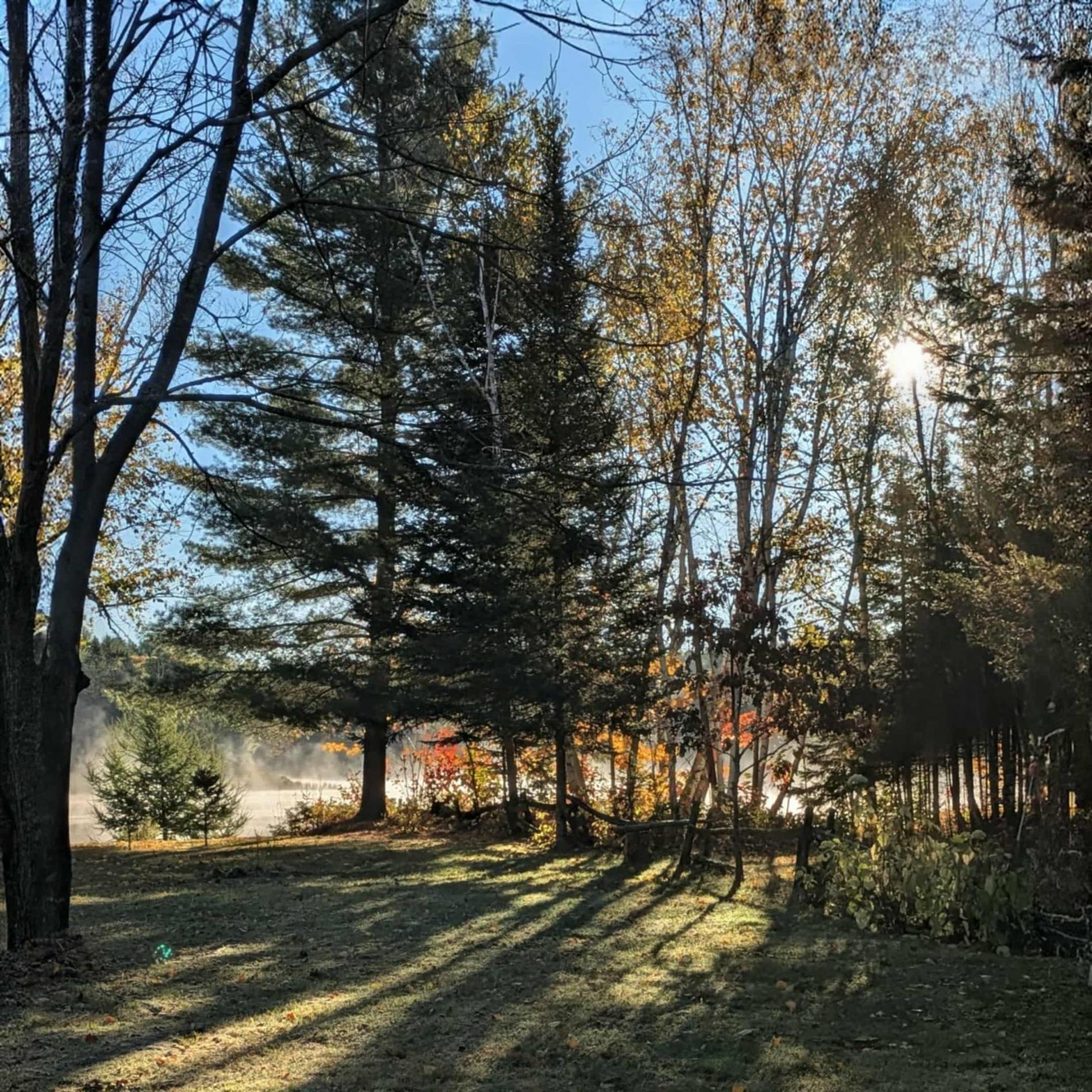 Ch. Workman — photo 1