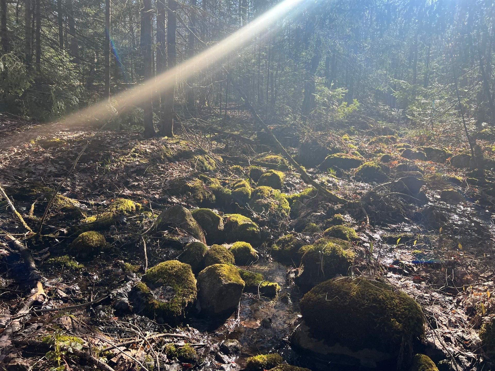Ch. du Lac-de-l'Écluse — photo 3