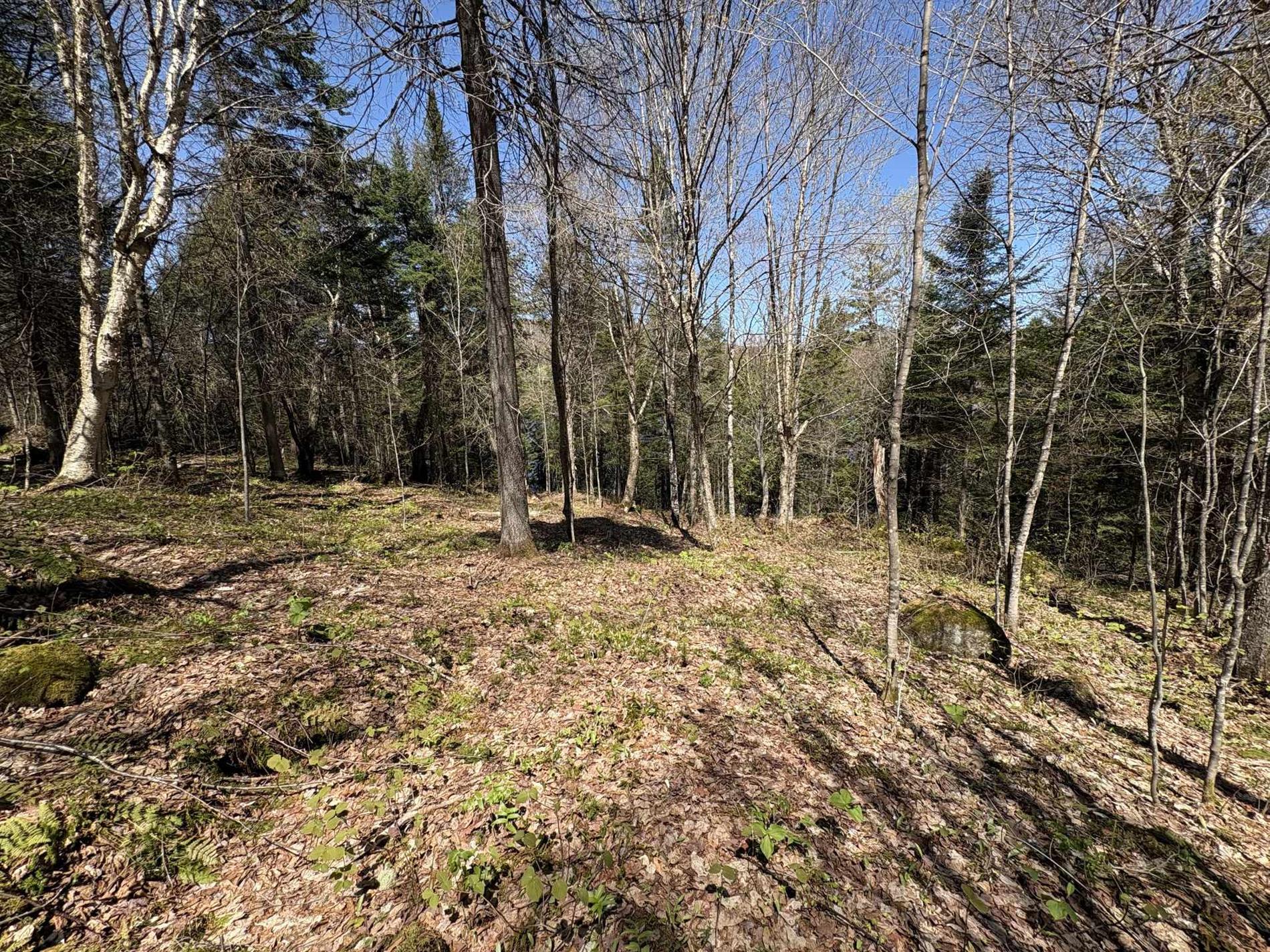 Ch. du Lac-Earl E. — photo 2