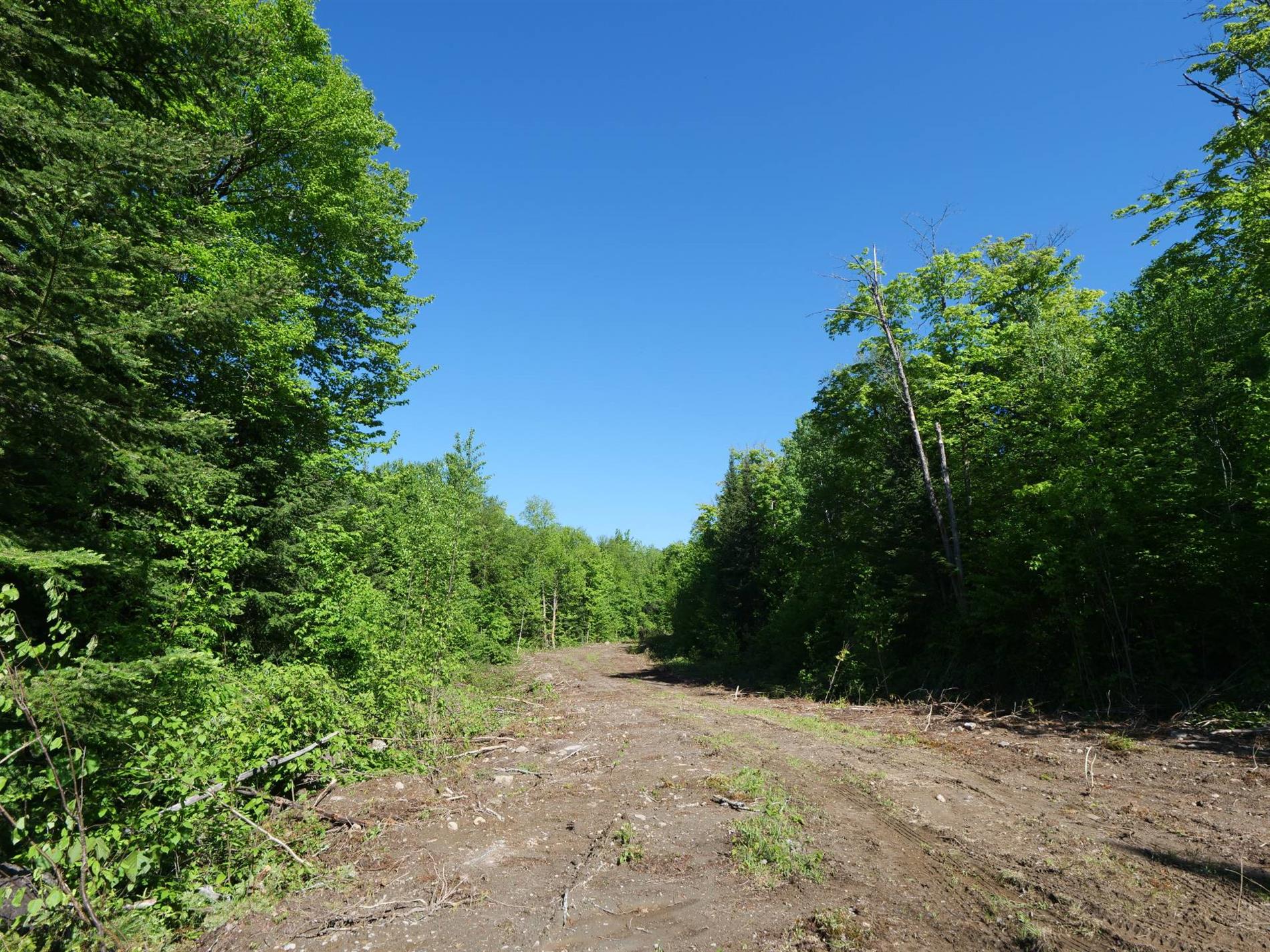 11e Rang — photo 2