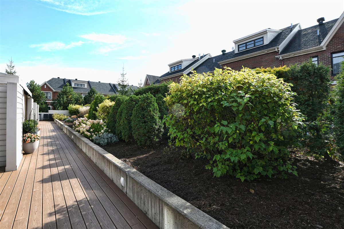 Photo 51