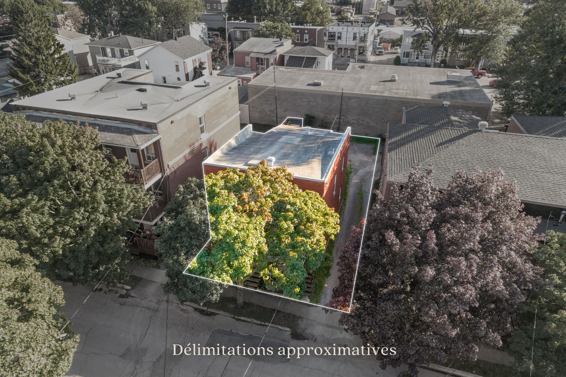 737-739 Rue Laurier — photo 3