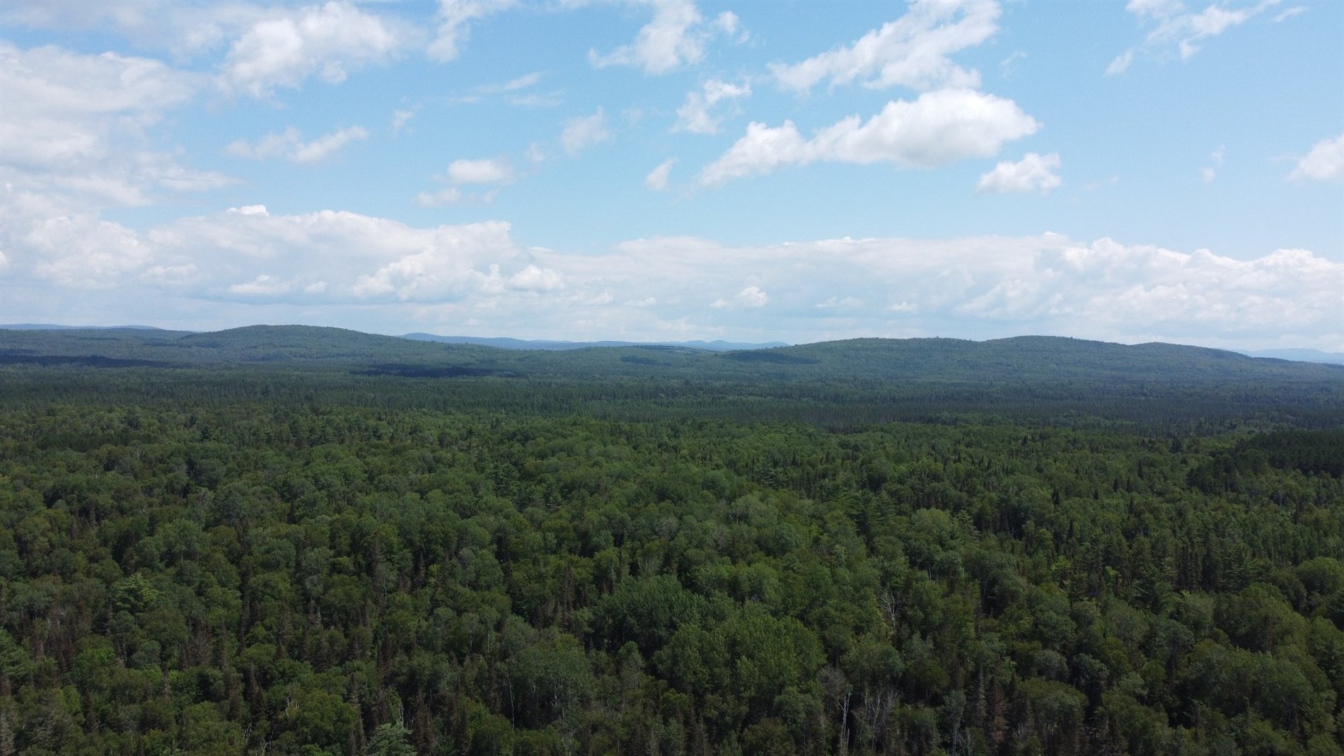 509 Ch. de la Rivière-Rouge — photo 1