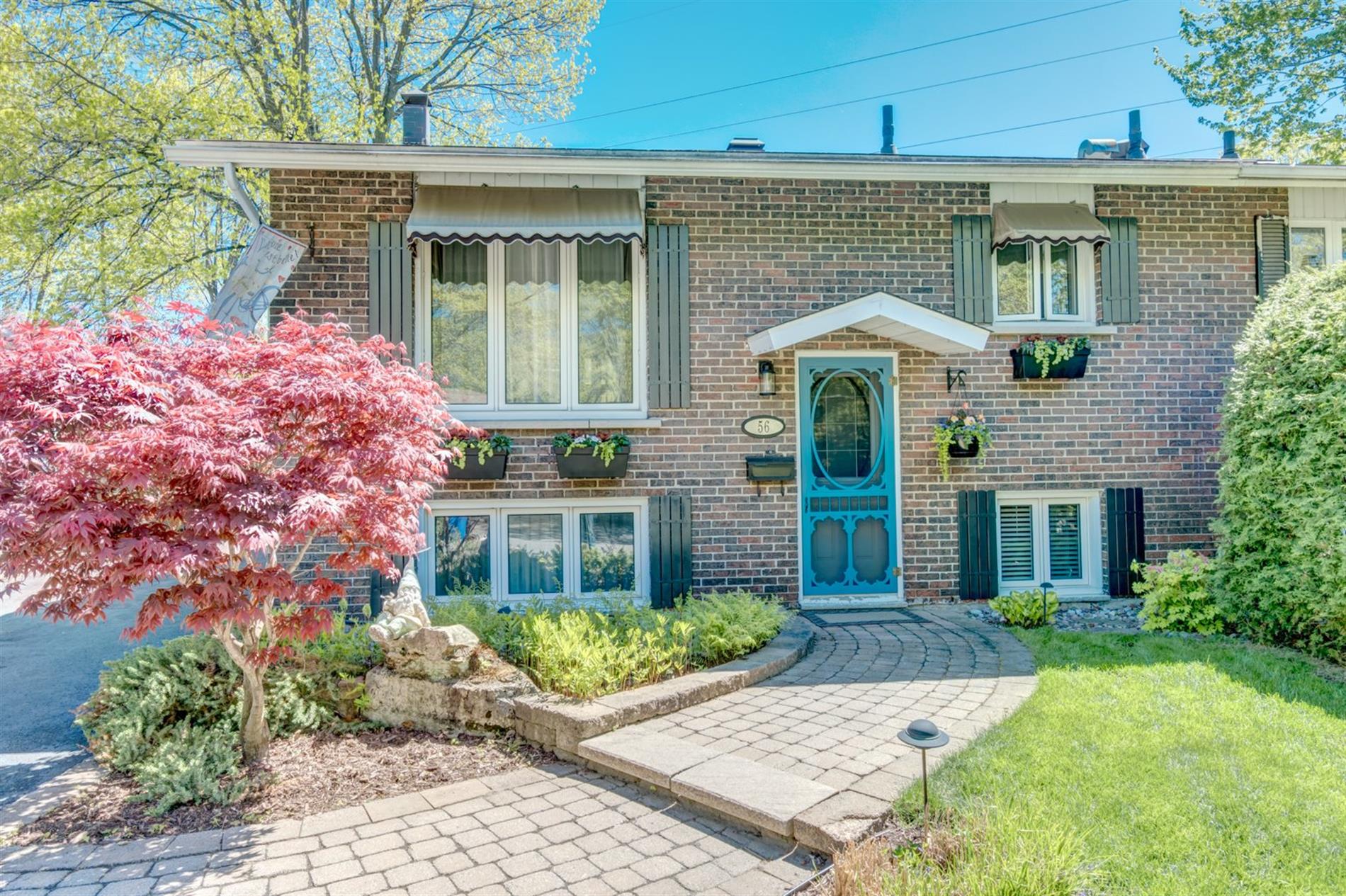 56 Rue de la Côte-des-Pins — photo 1