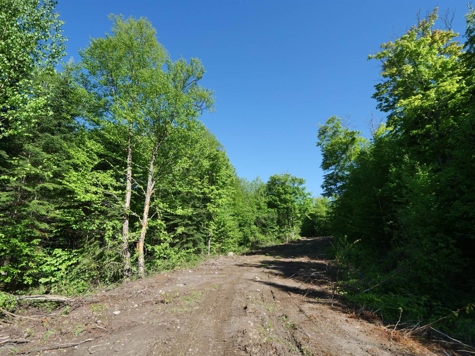 11e Rang — photo 2