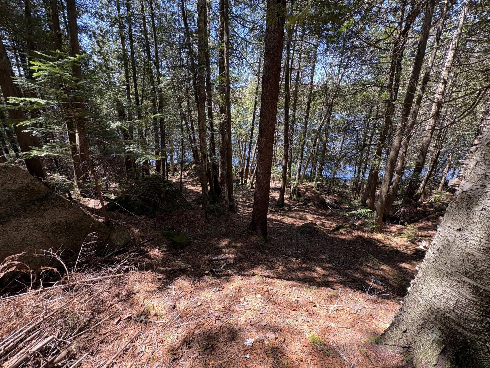 Ch. du Lac-Earl E. — photo 3