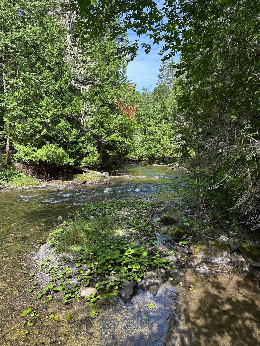 Route du Parc — photo 1