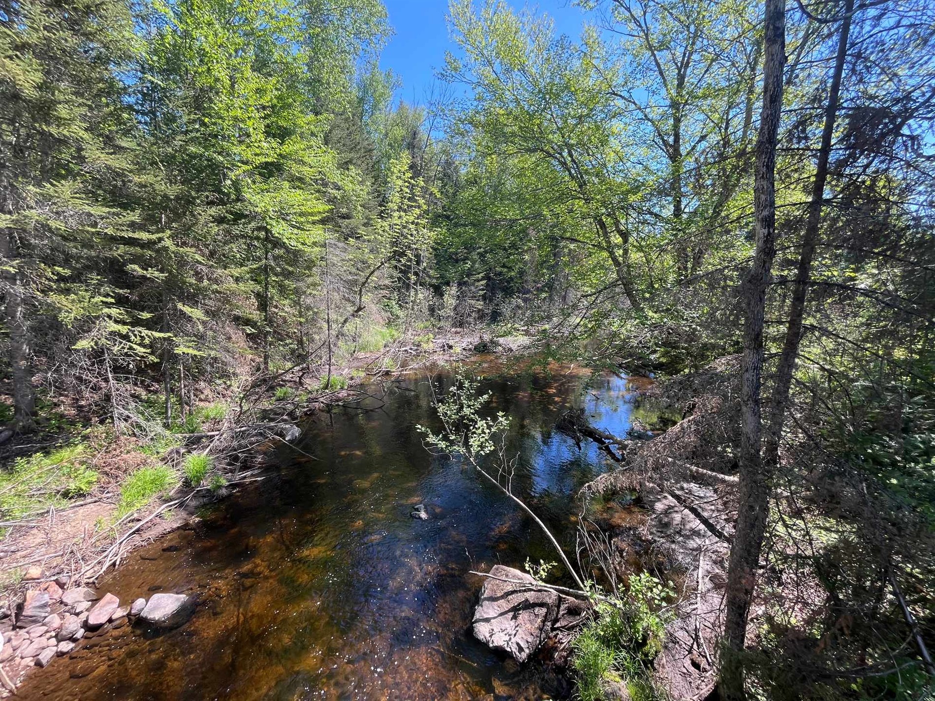 9e Rang — photo 2