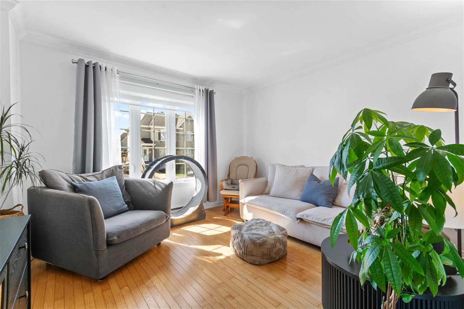 8020 Rue des Châtaigniers — photo 1