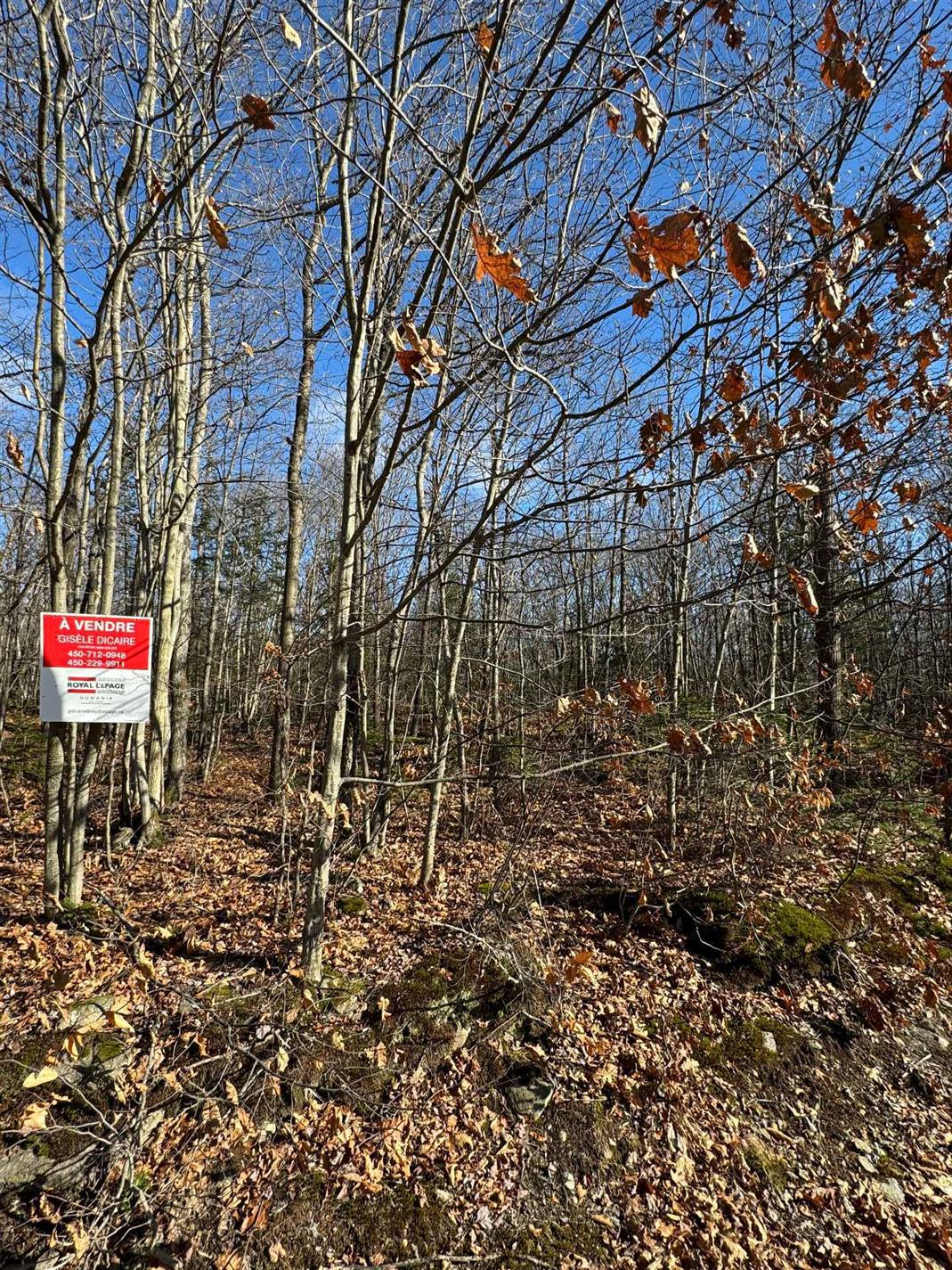 Mtée Mongeau — photo 1