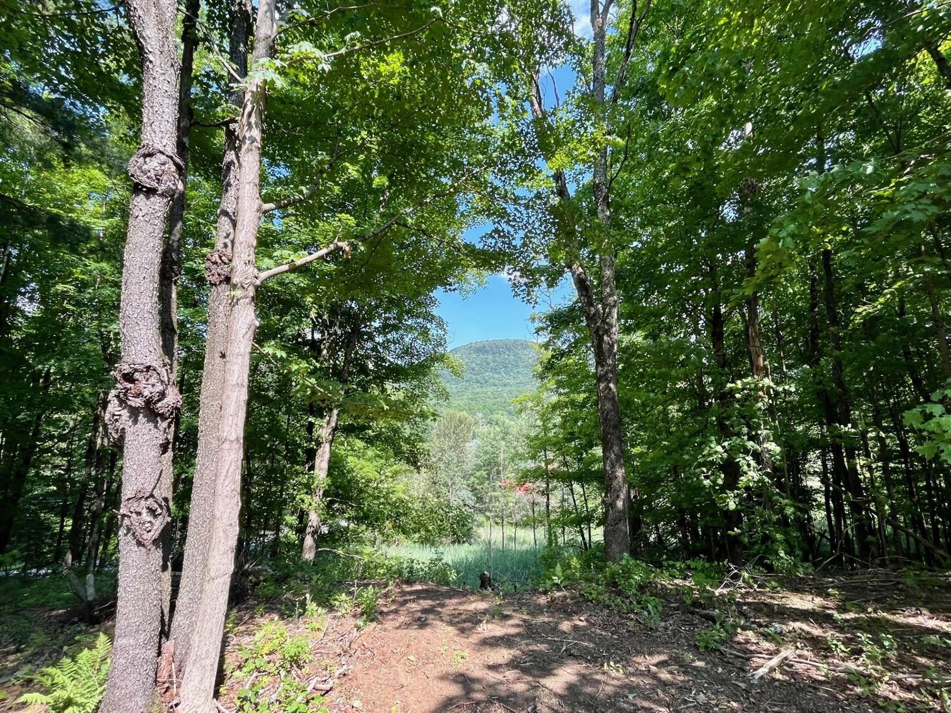 Ch. Mountain — photo 3