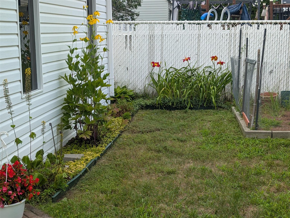 Maison de plain-pied, Terrebonne, photo 33 de 33