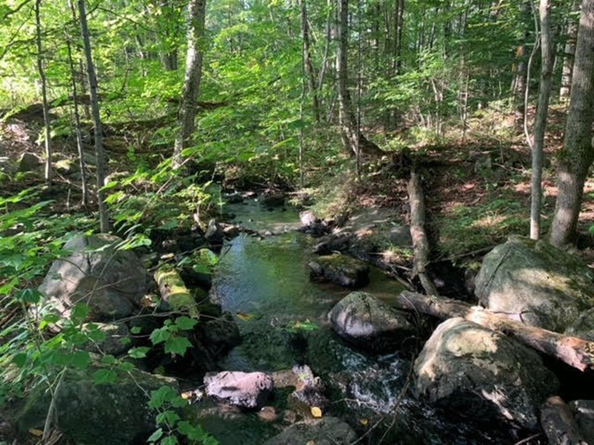Ch. de l'Étang-Sugar Loaf — photo 1