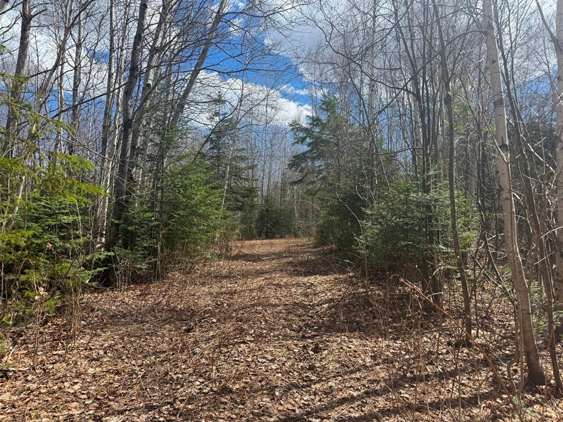 Rg de la Colonie — photo 1