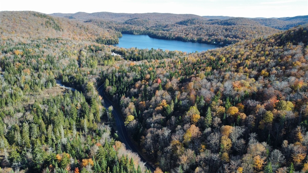 Terrain - Ch. des Lacs, Saint-Faustin/Lac-Carré