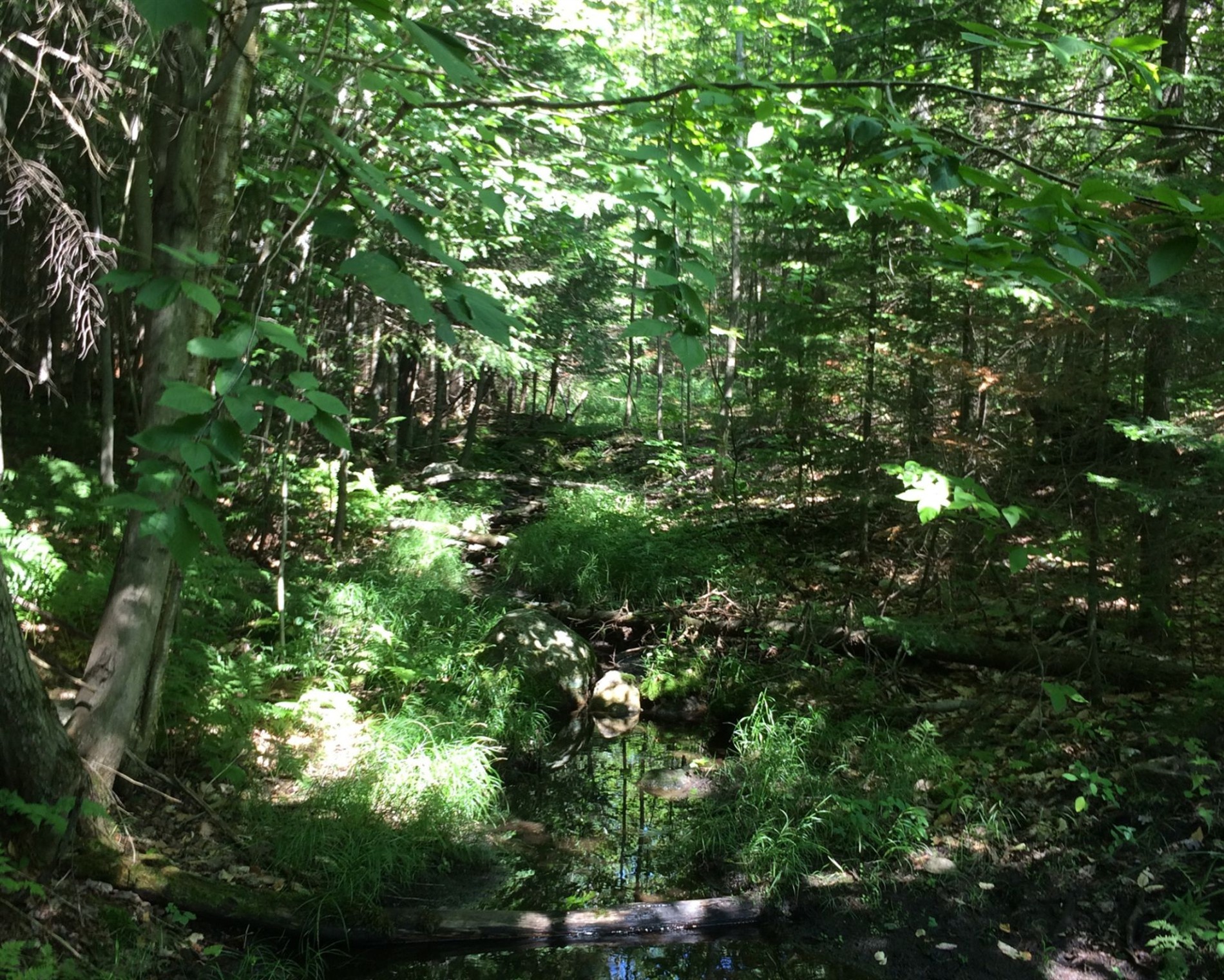 5e Rang — photo 3