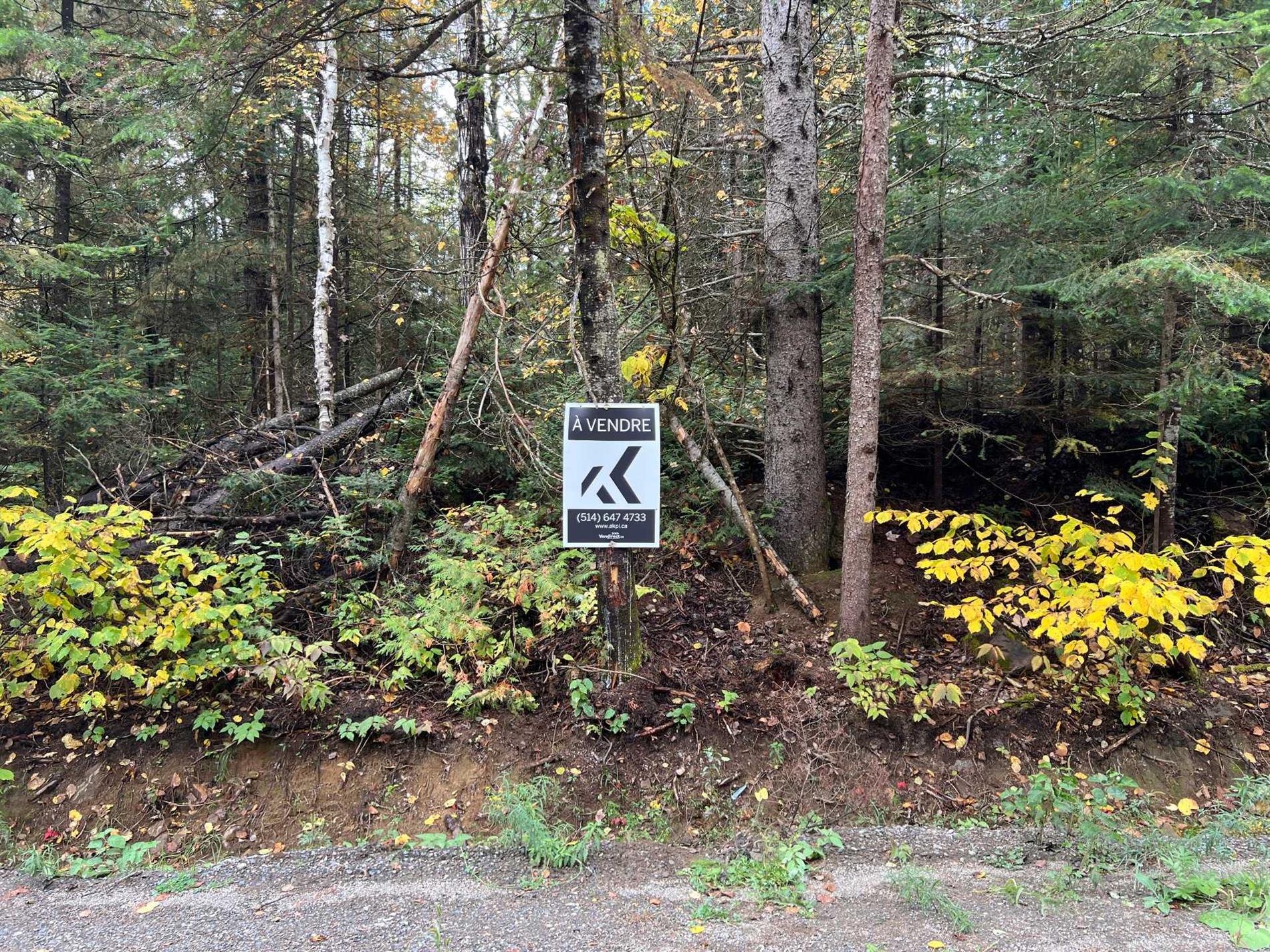 Av. Solitaire — photo 1
