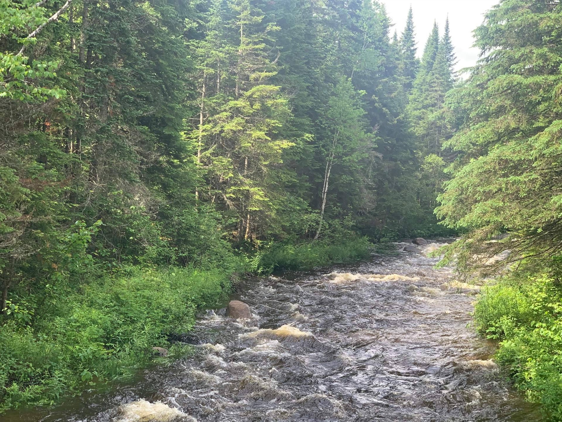 10e Rang — photo 2