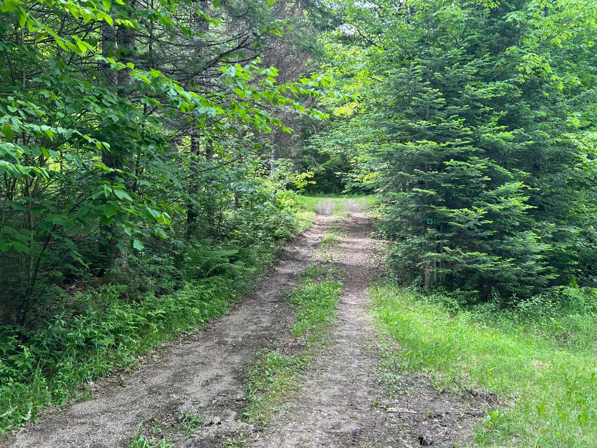 Ch. de la Montagne — photo 1
