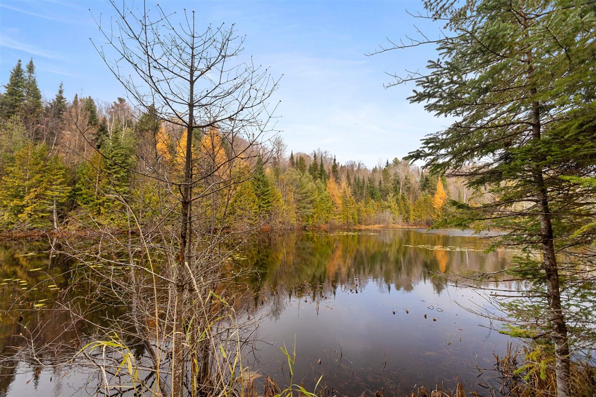 Vue 3 de la propriété réf. 19583779 – 720 Rue du Hibou-Blanc J8B 3J1