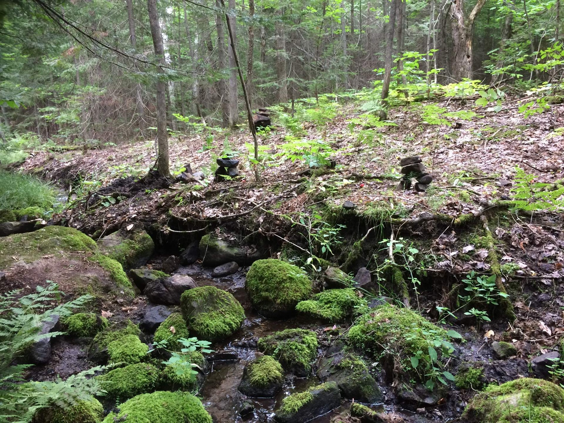 5e Rang — photo 2