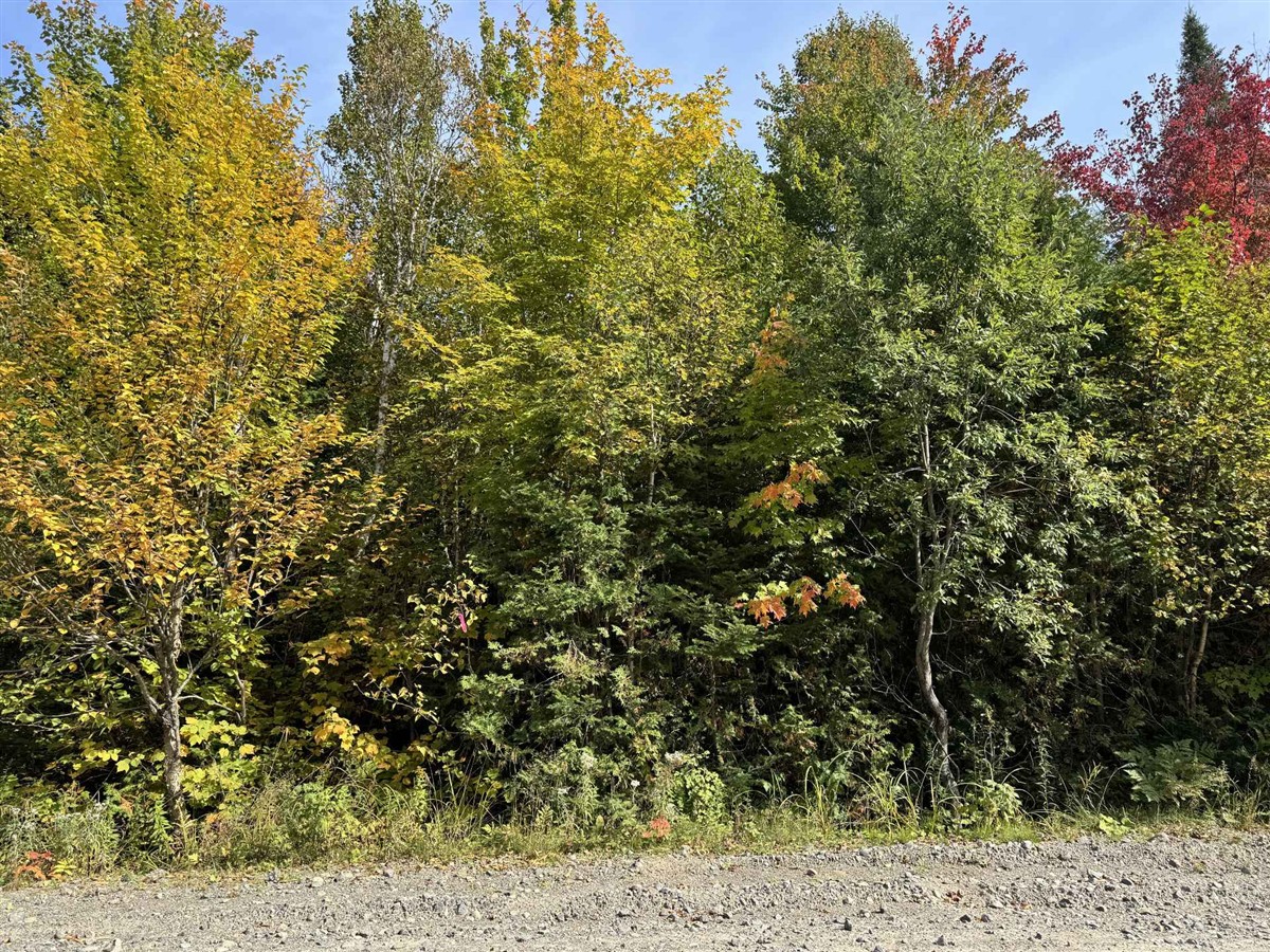 Lot - Rue des Golfeurs, Sainte-Marguerite-du-Lac-Masson
