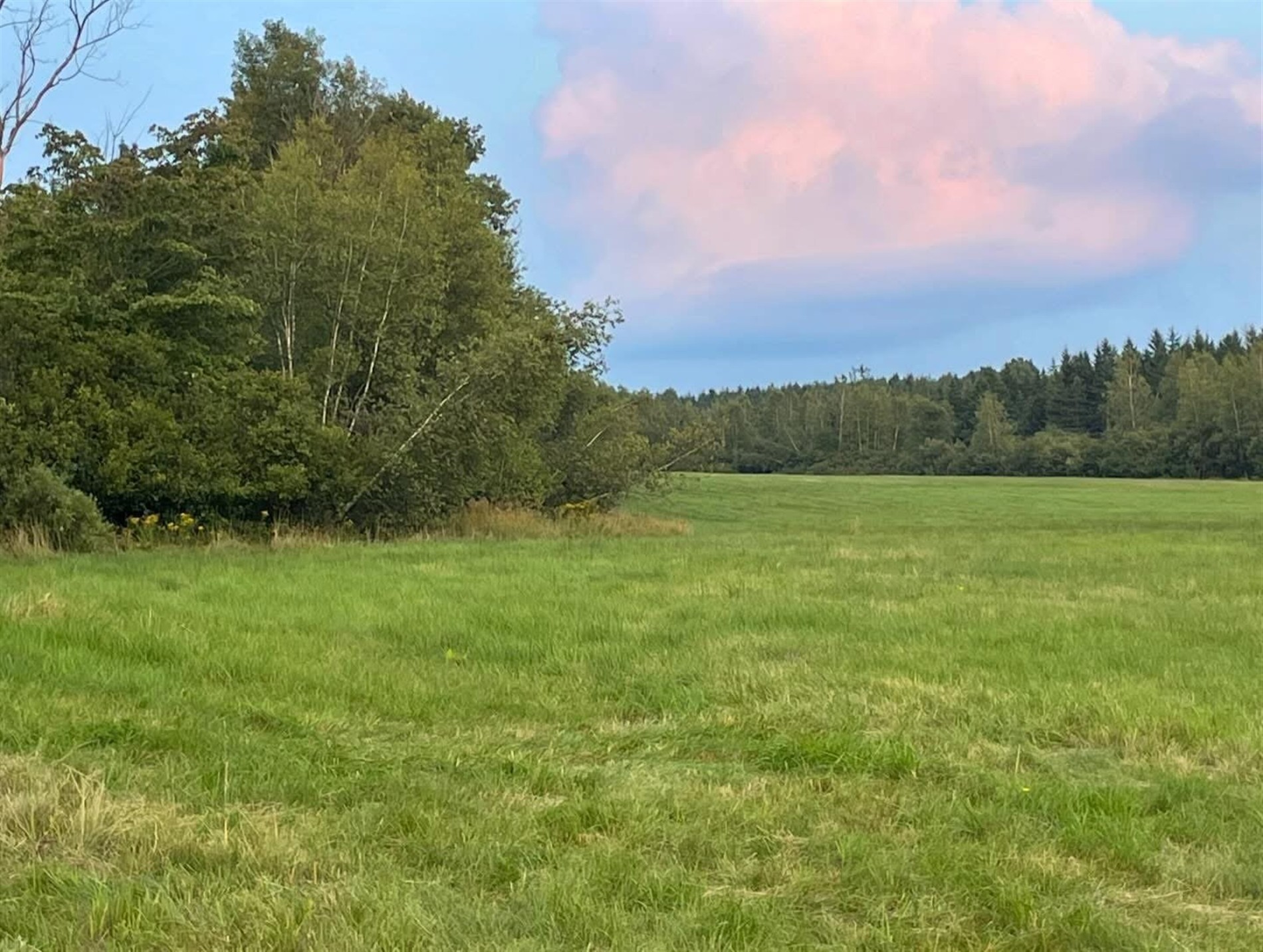 Route 216 — photo 1