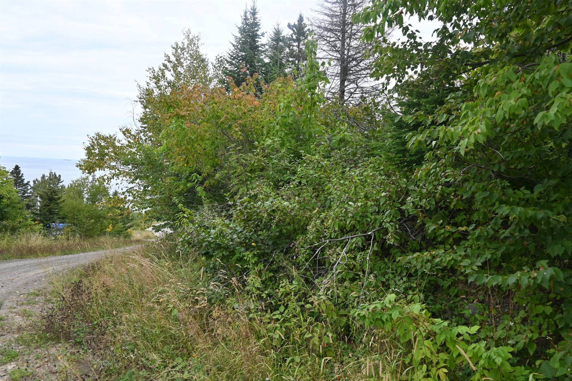 Route Xavier-Vallée Rang 2 — photo 2