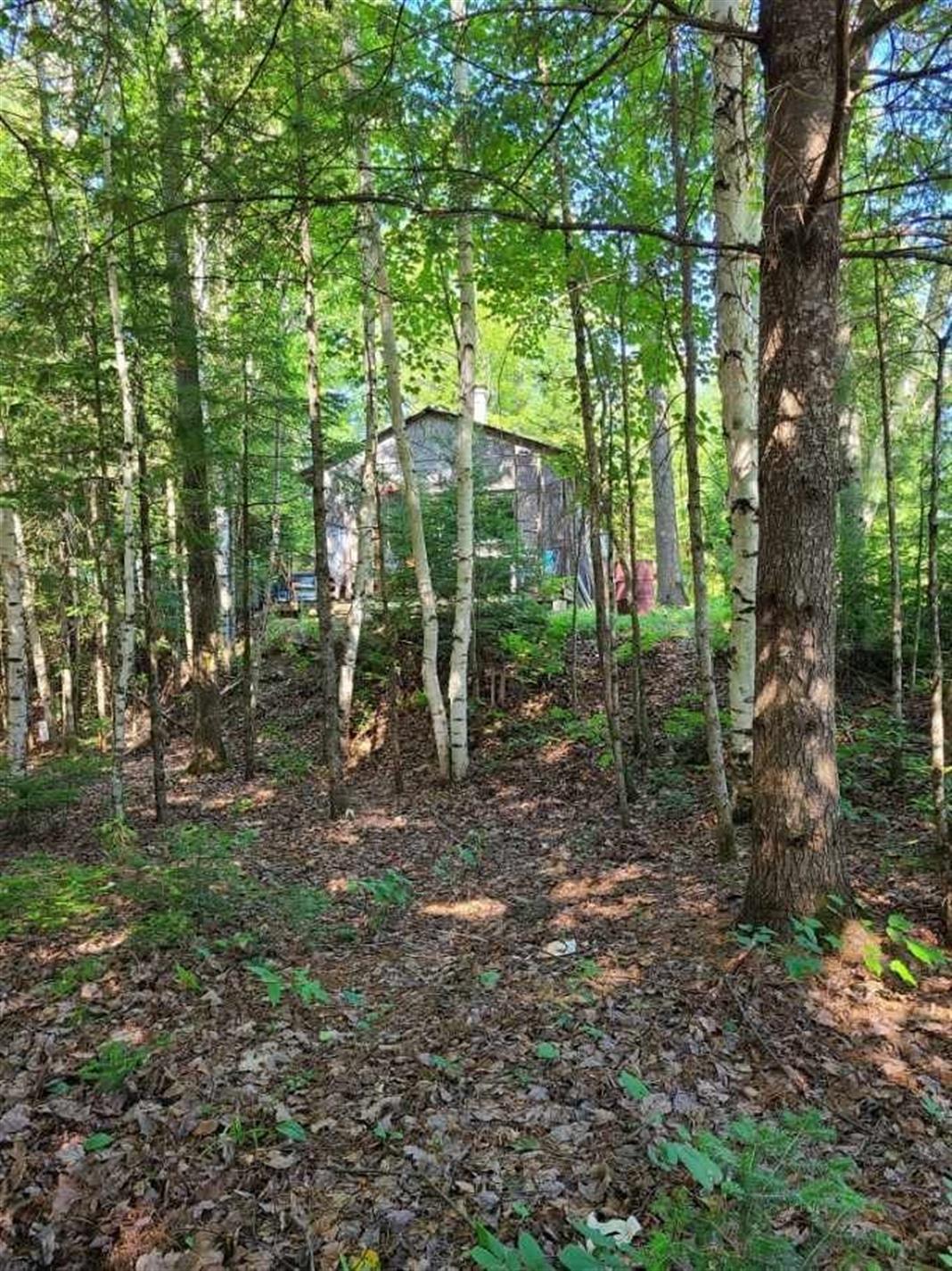 Ch. de Greer Mount — photo 3