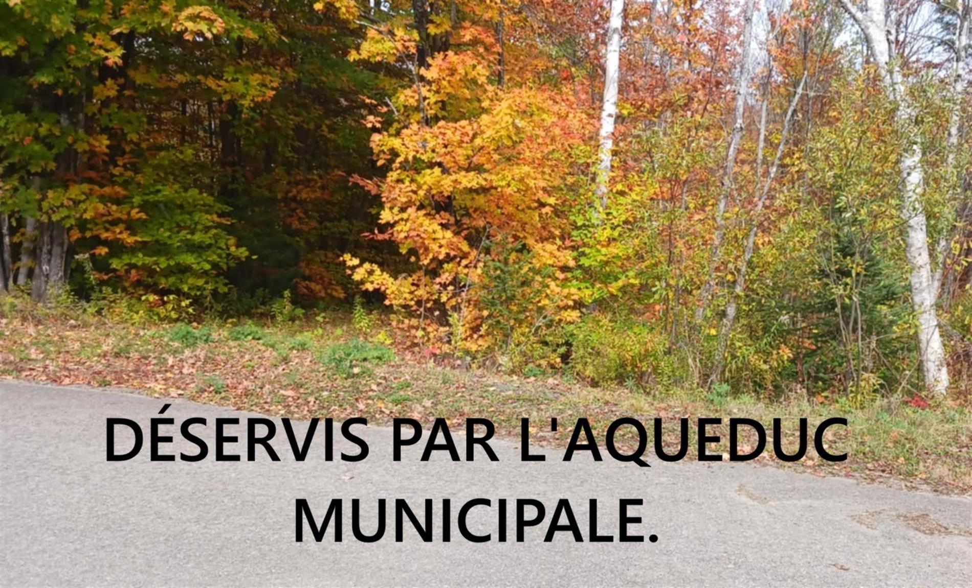 Rue du Sentier-du-Carcajou — photo 2