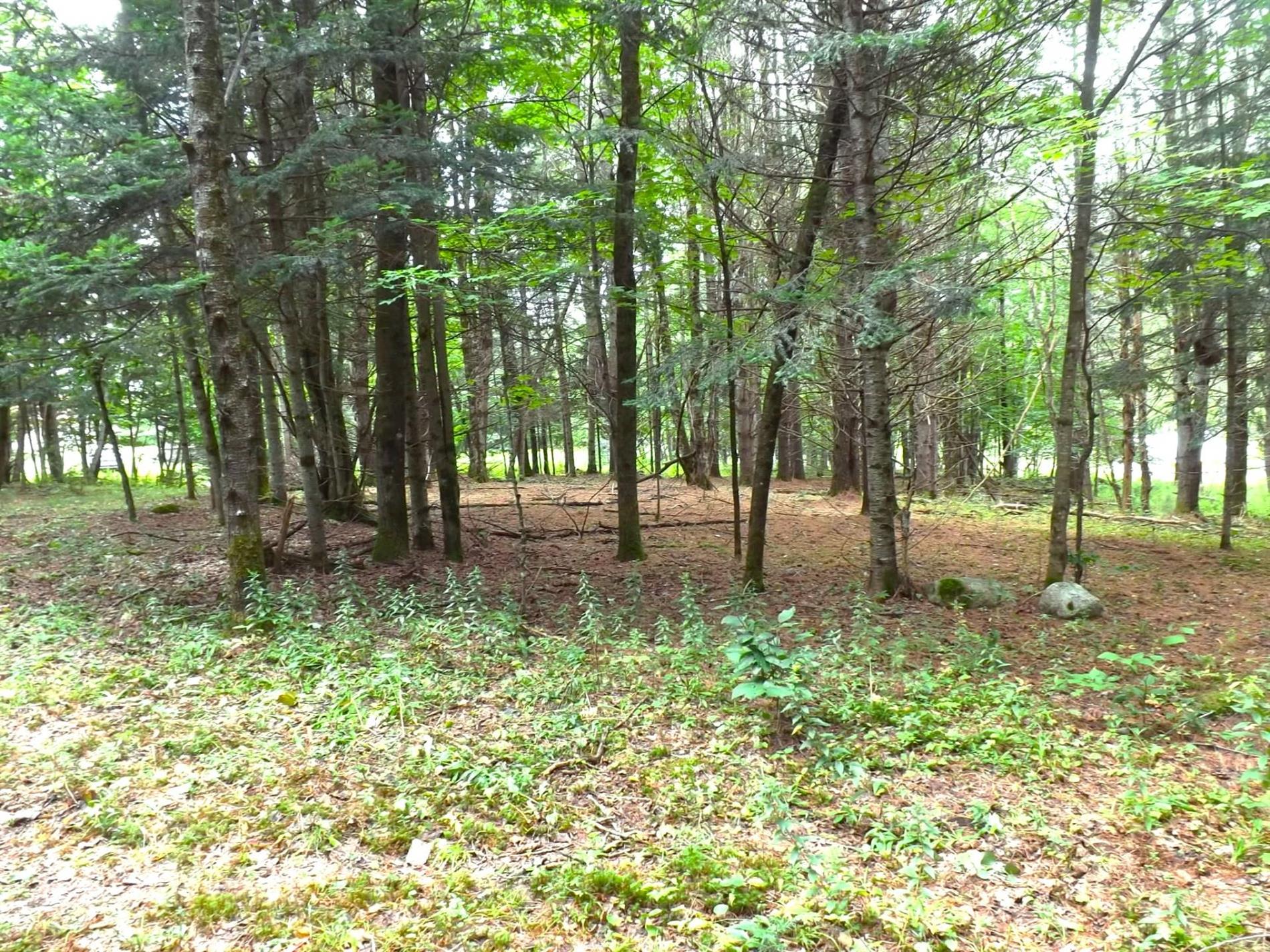 18 Ch. Dewar — photo 1