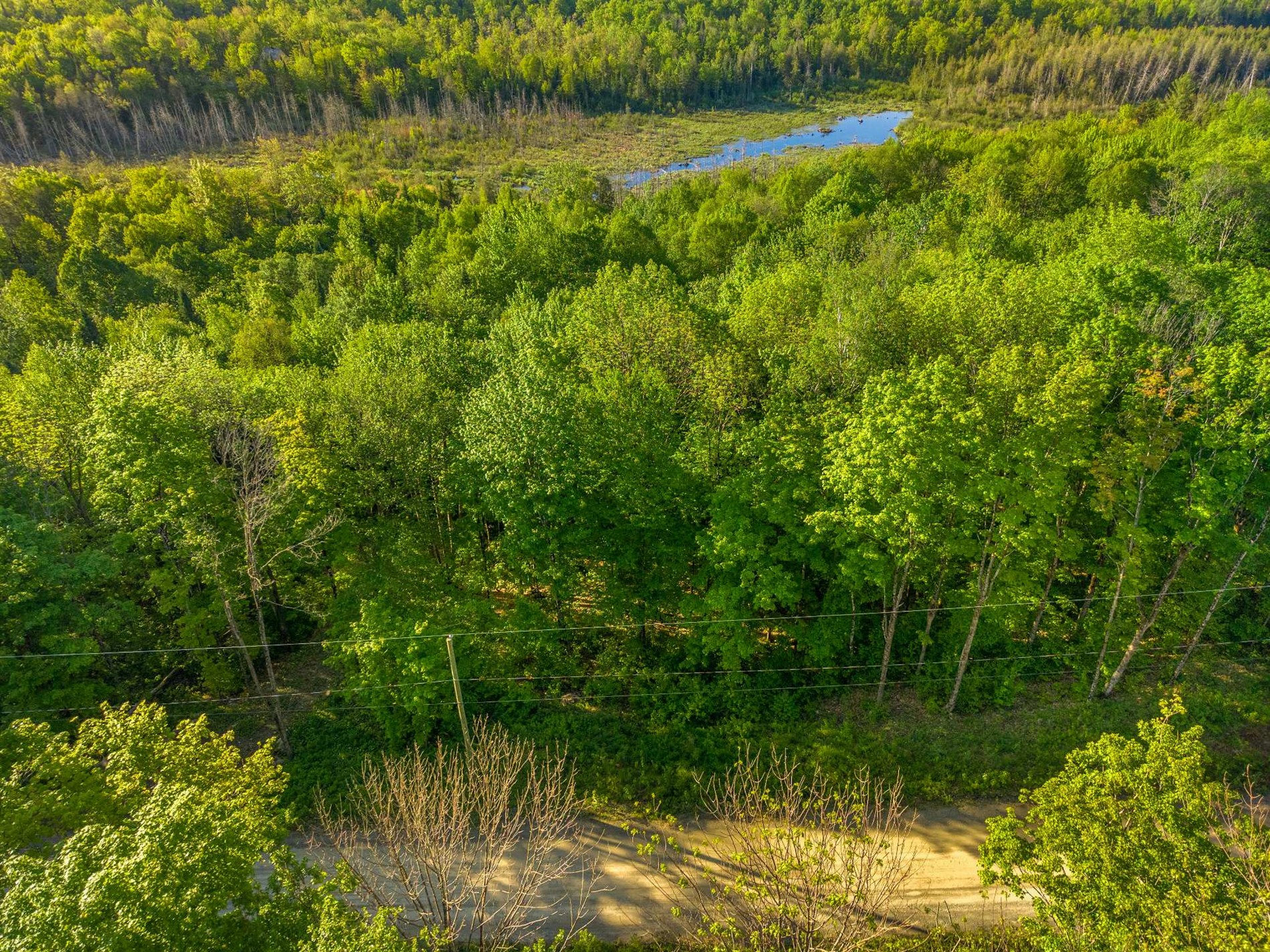 41 Ch. de la Montagne-Cachée — photo 3