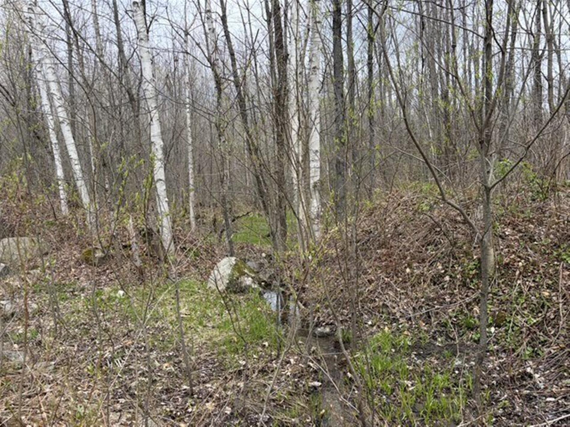 Ch. Lesage — photo 3