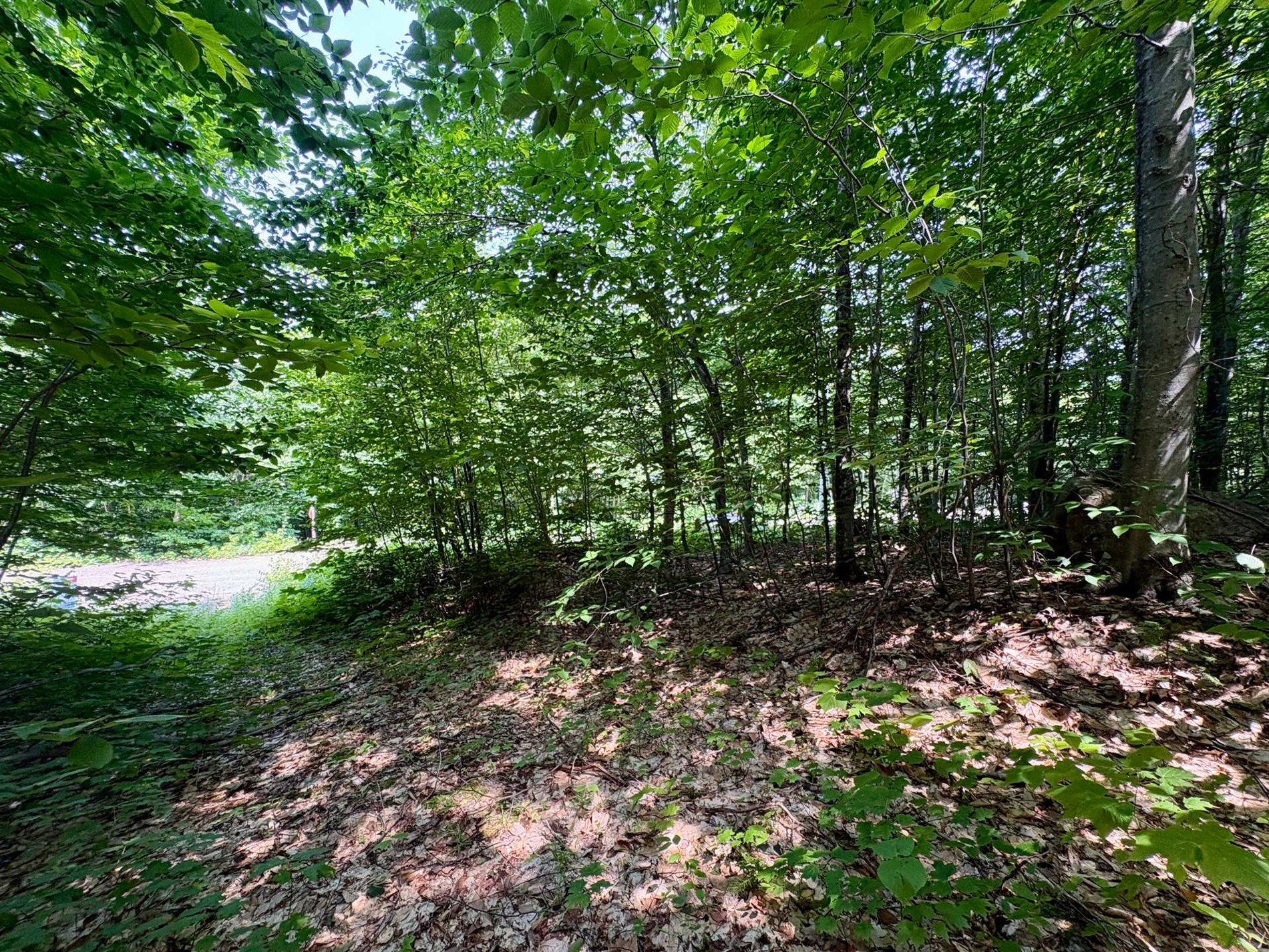 Ch. Dubeau — photo 2