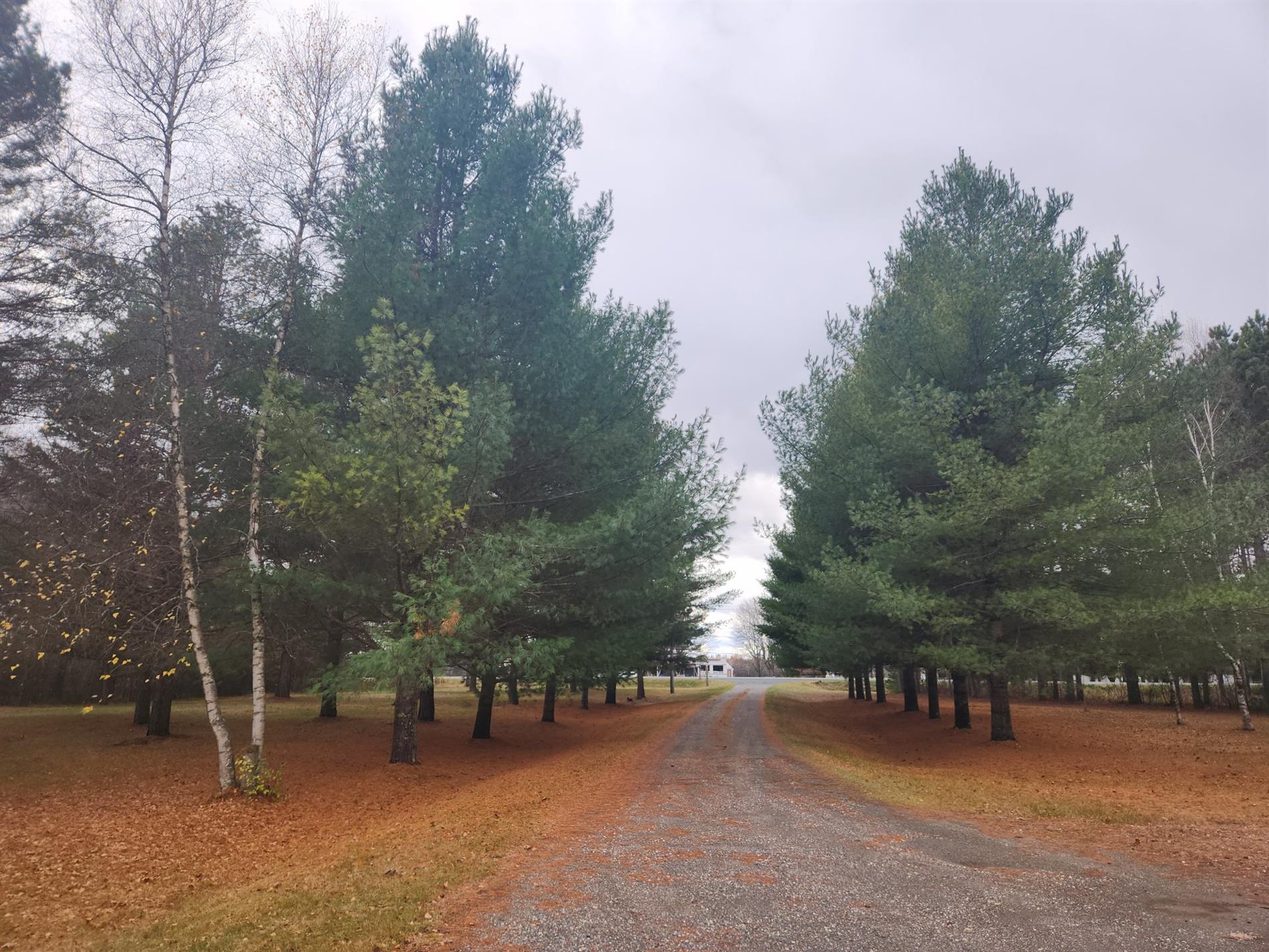 2138 Route 116 — photo 1
