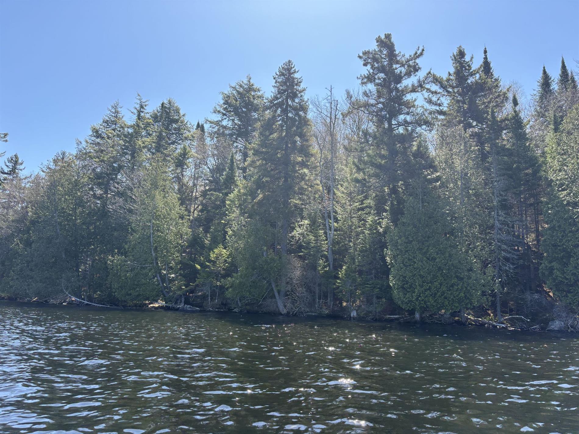 Ch. du Lac-Earl E. — photo 1