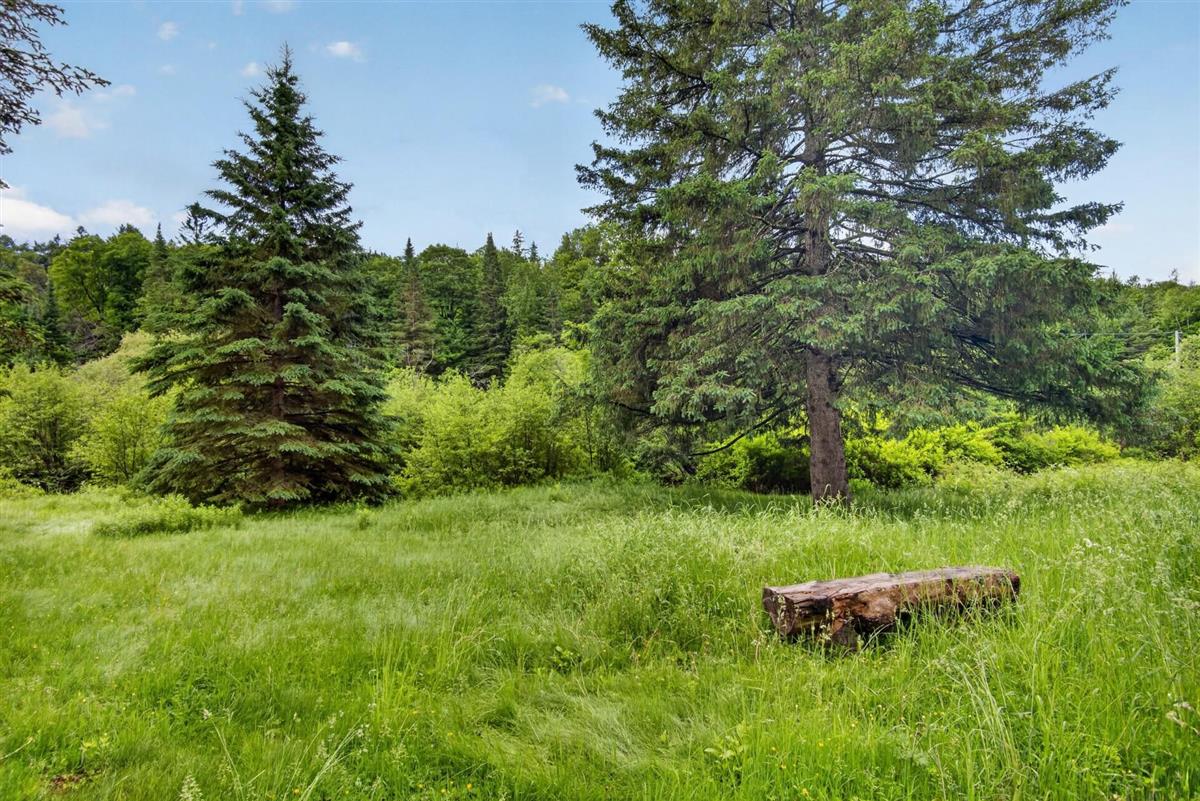 Vue 4 de la propriété réf. 27441253 – 903 Ch. du Lac-Renaud J8B 2T5