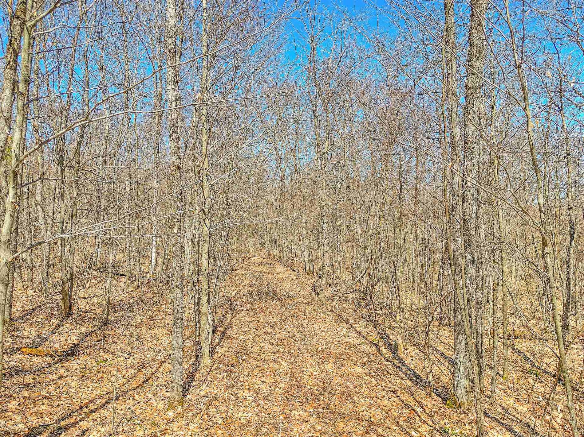 Ch. du Lac-Bélanger — photo 3