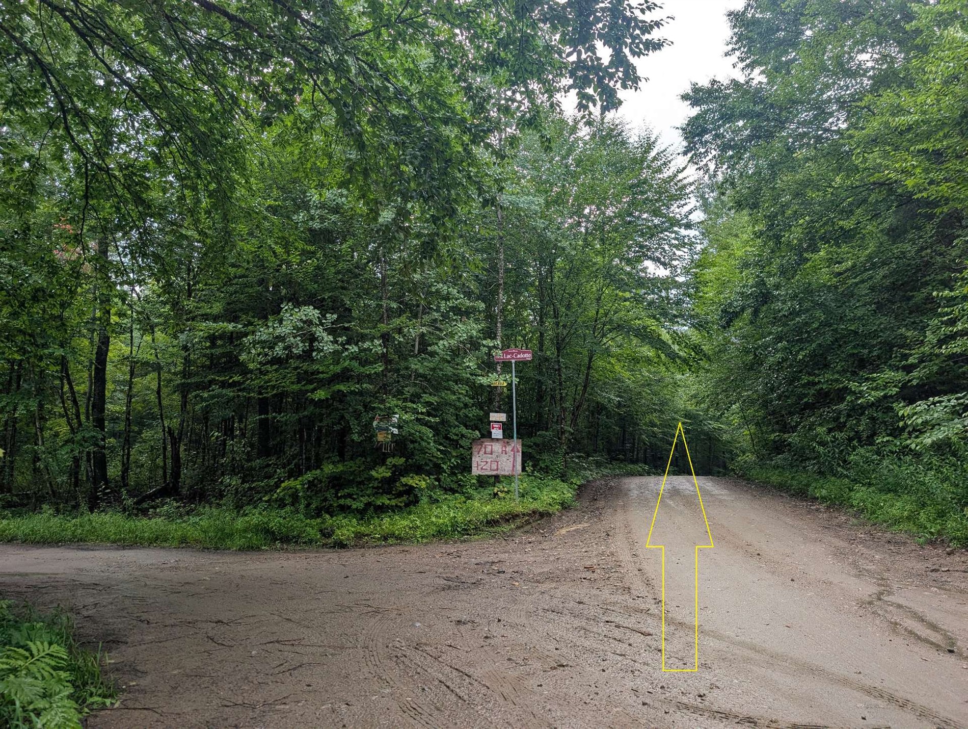 100 Ch. du Lac-Cadotte — photo 3