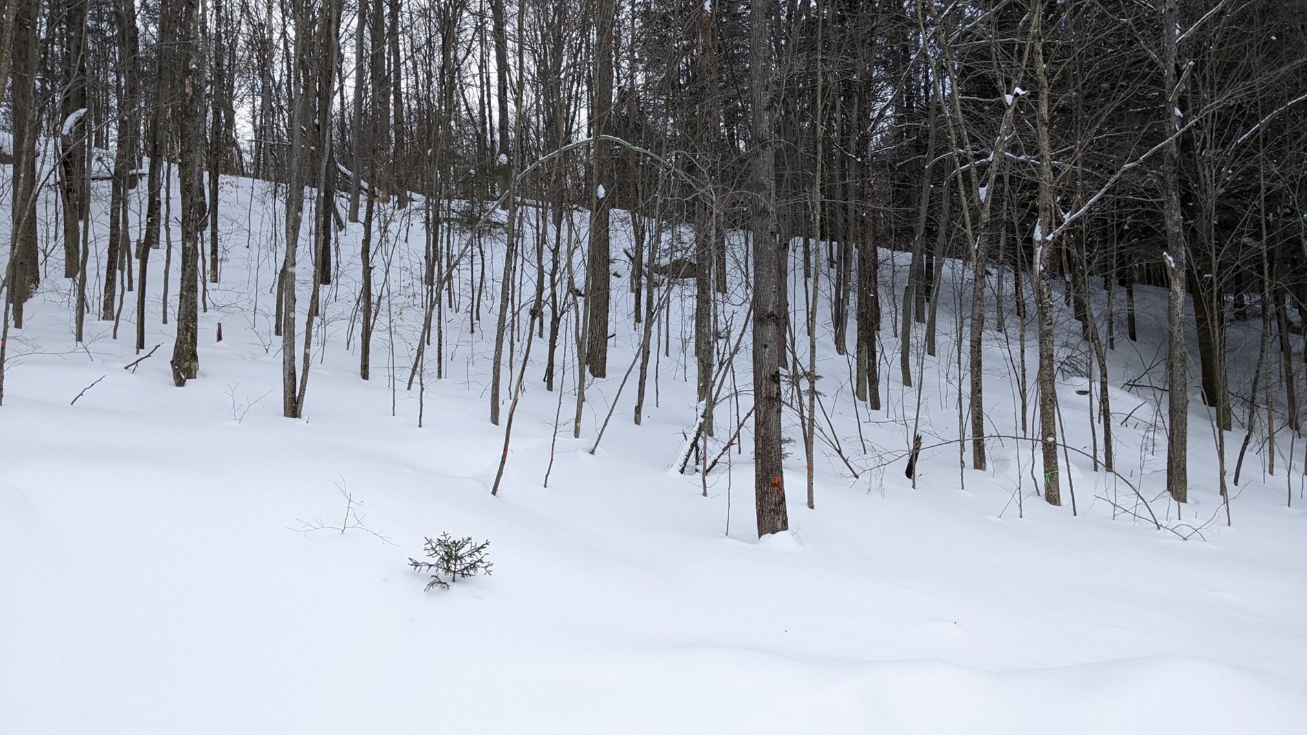Ch. du Lac-Wilson — photo 1