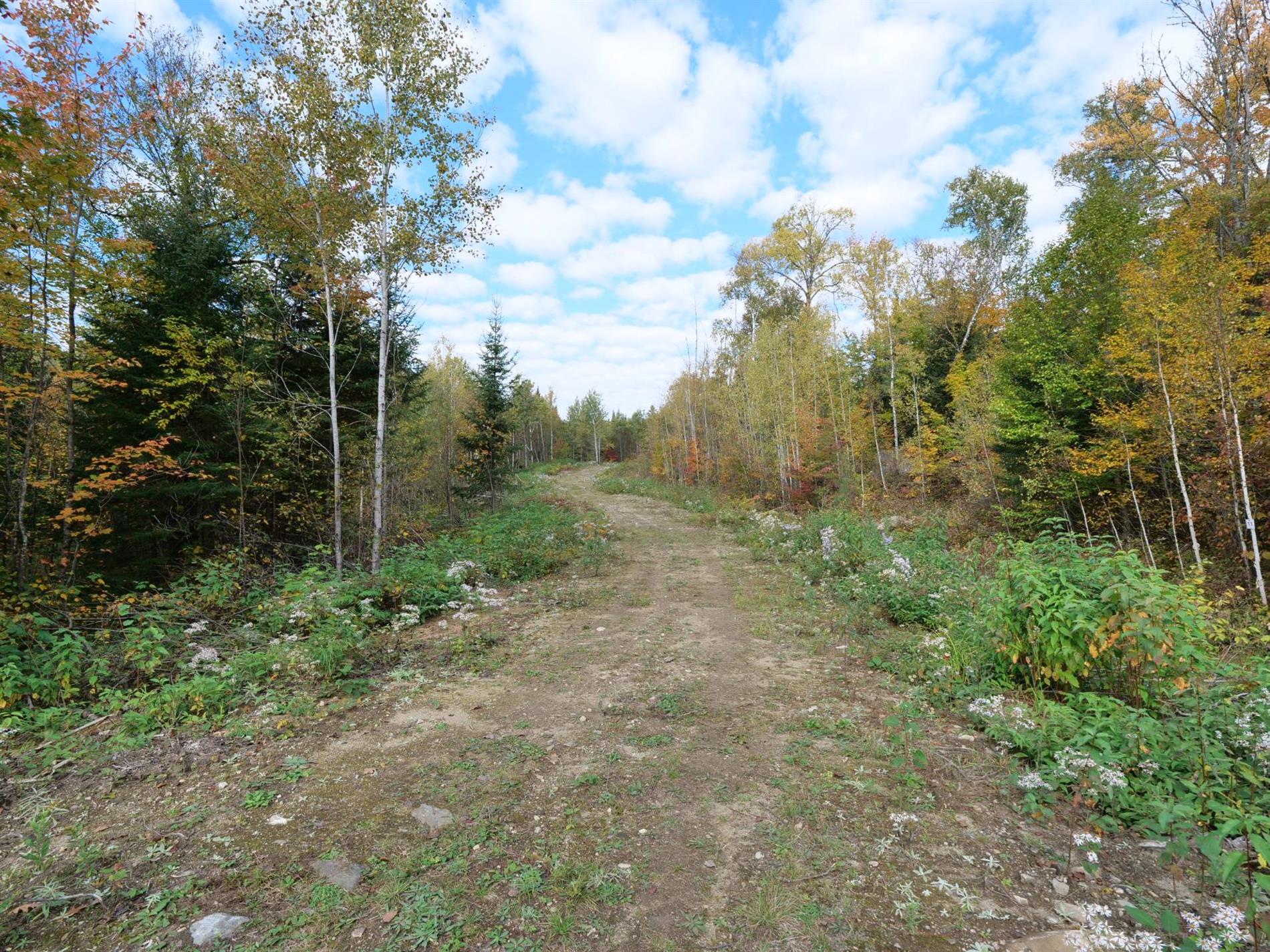 11e Rang — photo 1
