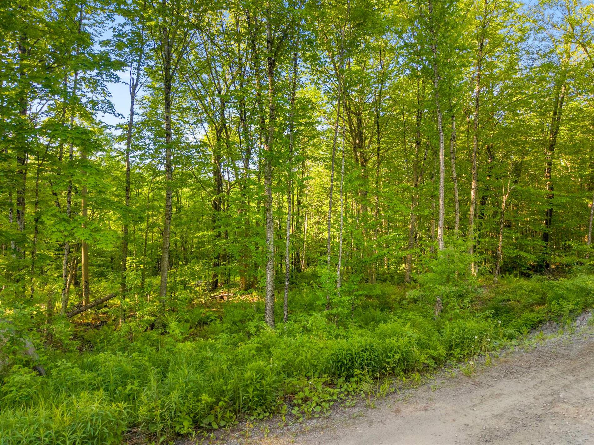 41 Ch. de la Montagne-Cachée — photo 1